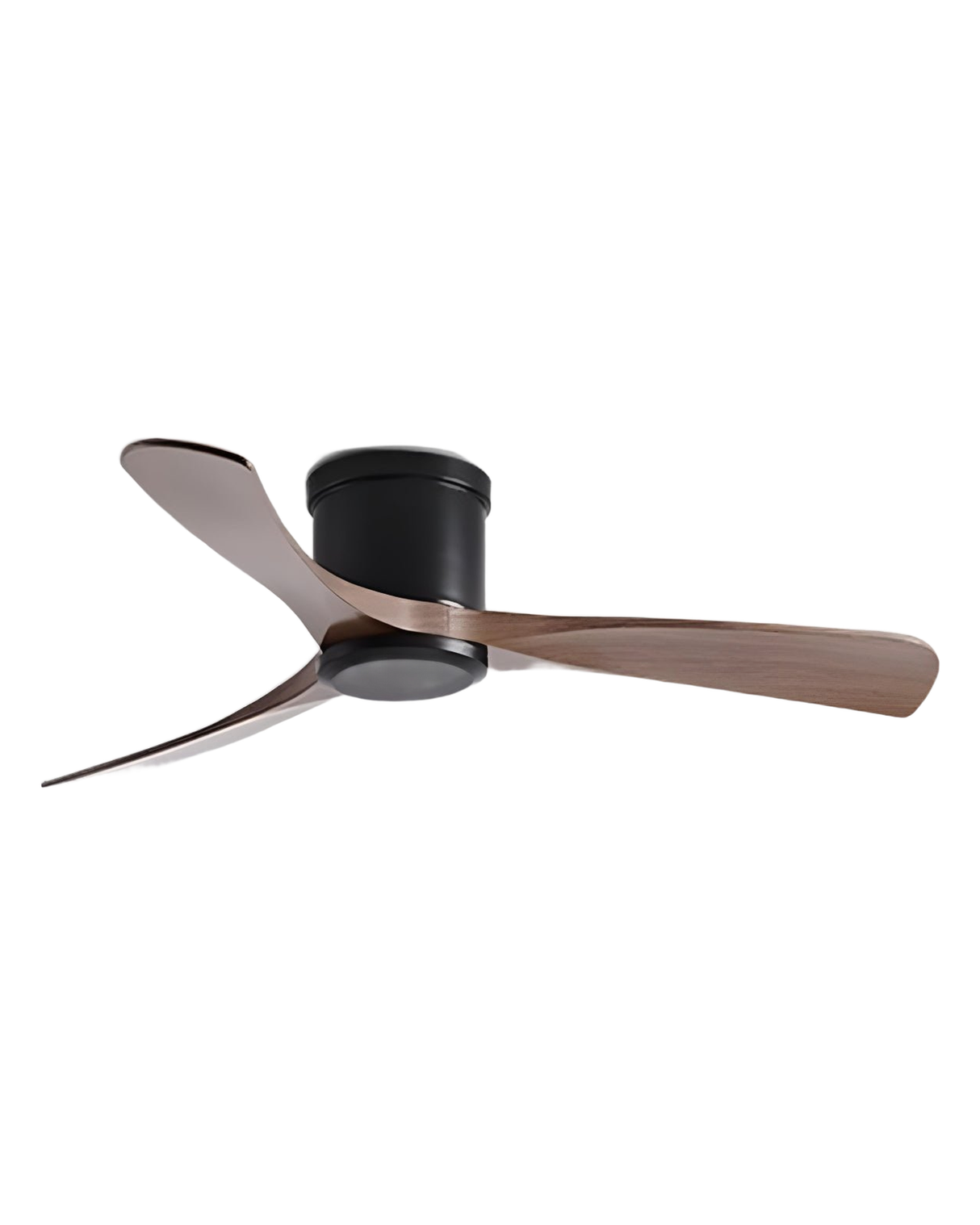 Modern 3-blade wood ceiling fan, walnut blades with black motor, studio on white