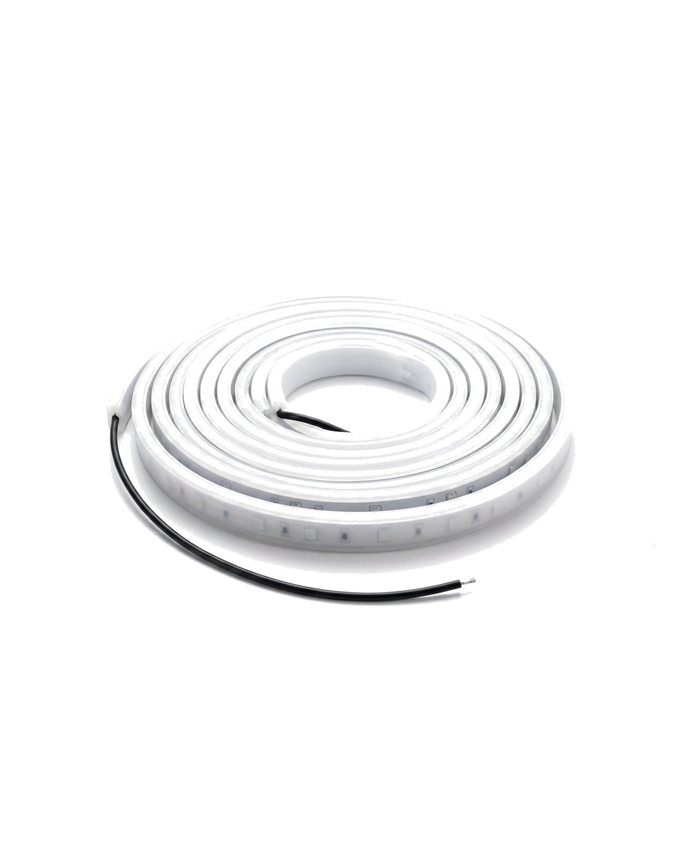 Filo outdoor LED strip light coil, studio on white