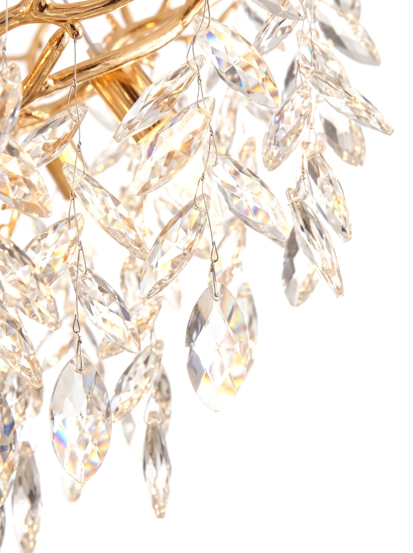 Close-up of the faceted crystal leaf droplets