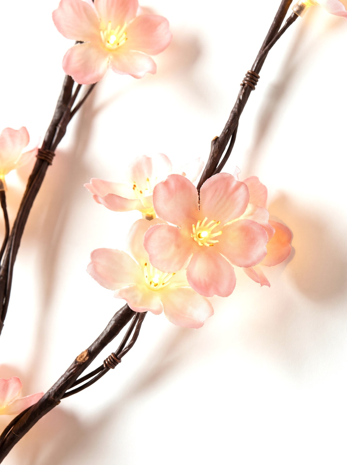 Close-up of the warm-glowing LED blossoms