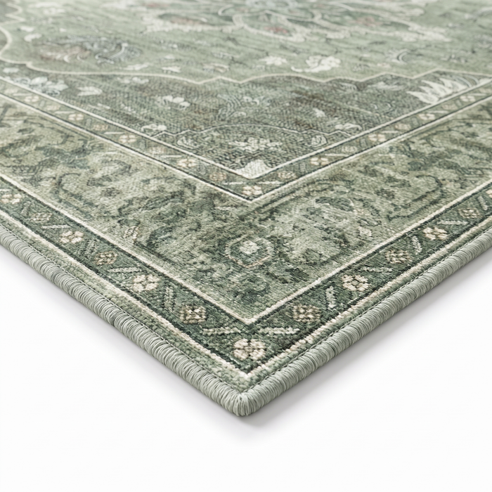 Juniper rug banded border corner, close-up on white