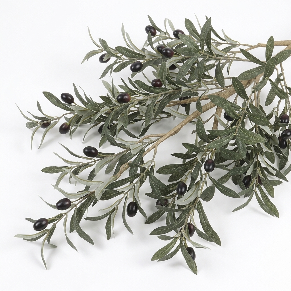 Olive tree foliage and olives detail