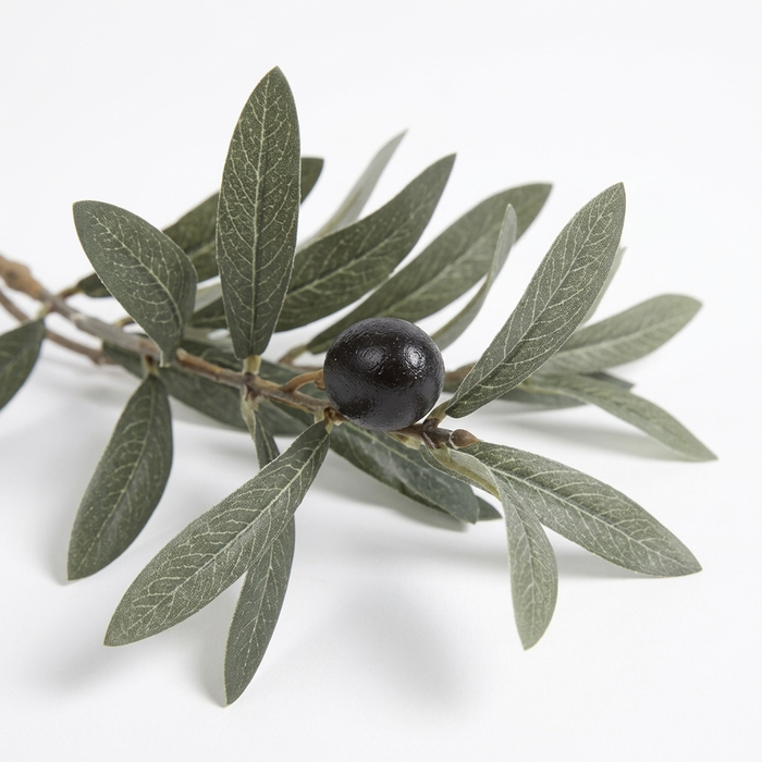 Olive leaves and fruit macro detail