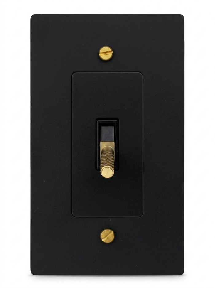 Ansel night black with brass toggle switch 1-gang