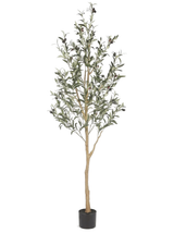 Olea 6ft faux olive tree potted on pure white