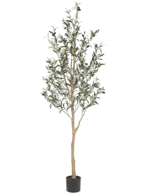 Olea 6ft faux olive tree potted on pure white