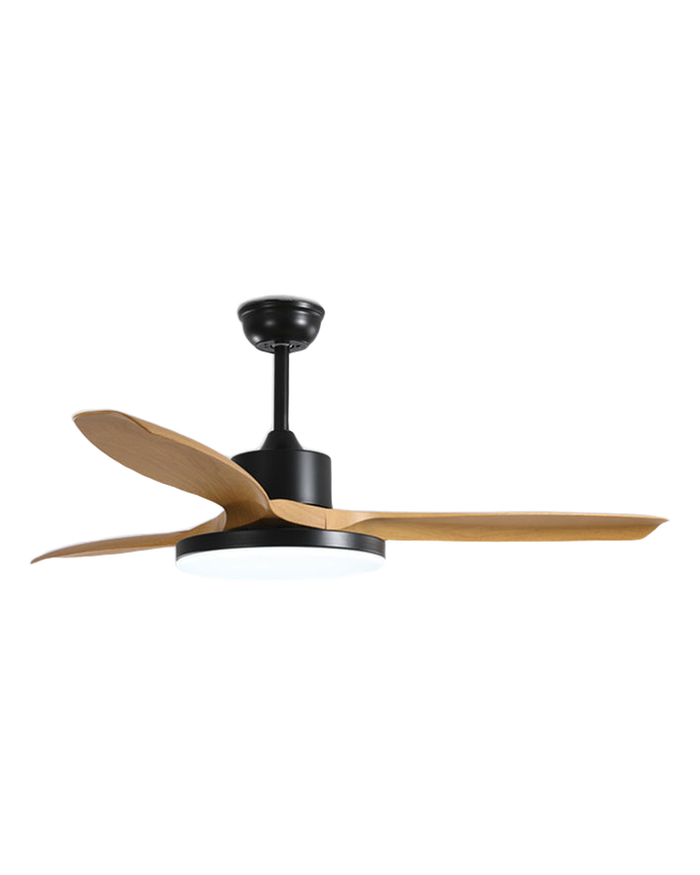 Elm ceiling fan, black motor with wood blades, studio on white