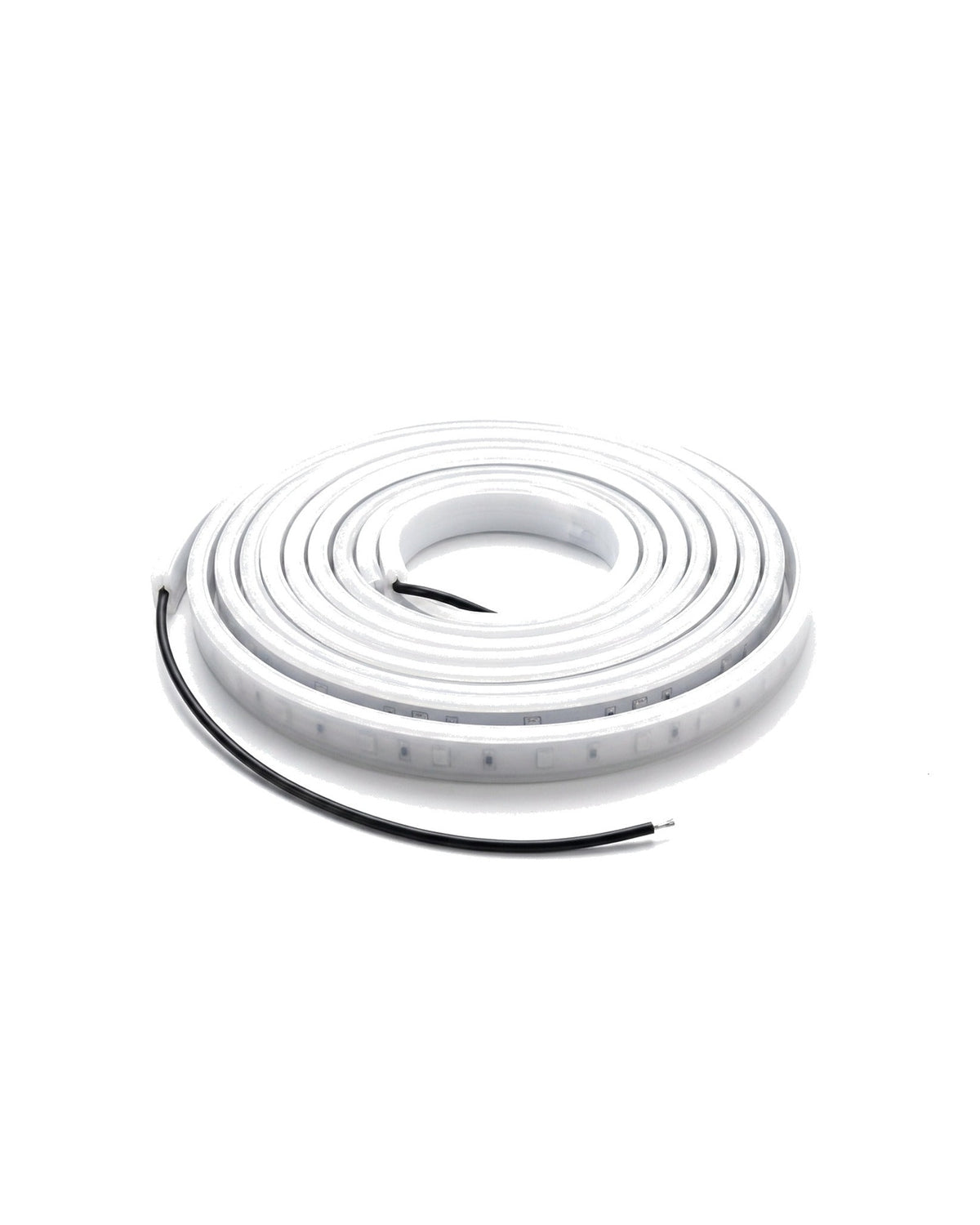 Filo outdoor LED strip light coil, studio on white