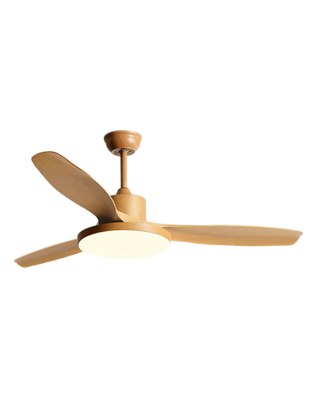 Elm Scandinavian ceiling fan with LED light, wood finish, studio on white
