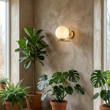 DaraLight | Modern Elegant Wall Sconce with Soft Glow