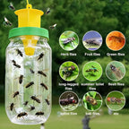 Eco-Friendly Fly Trap Indoor | Reusable Pest Catcher with Natural Bait for Effective Indoor & Outdoor Control