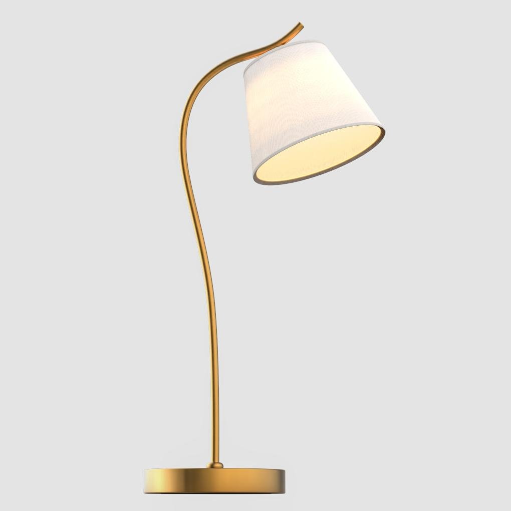 Elegant Gooseneck Desk Lamp with Adjustable Cone Shade for Cozy Lighting