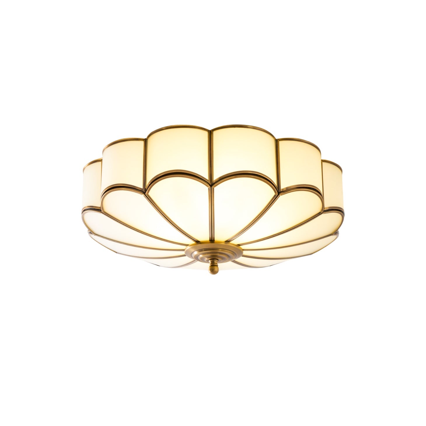 Flower-Shaped Glass Ceiling Lamp - Elegant Floral Lighting Fixture