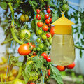 Garden Guardian | Pest Control Trap & Fly Catcher with Scent Lure | Reusable Solution for Outdoor Fruit Fly Management