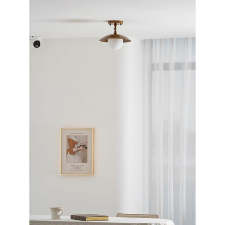 Marie ceiling light
