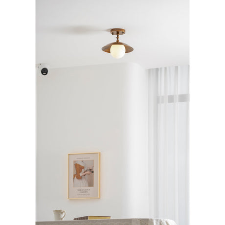 Marie ceiling light