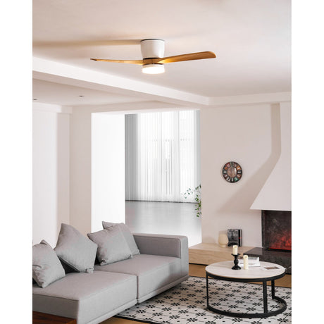 Henrik ceiling fan