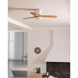 Henrik ceiling fan