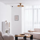 Lido ceiling light