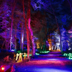 Waterproof RGB LED Outdoor Landscape Spot Lights