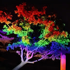 Waterproof RGB LED Outdoor Landscape Spot Lights