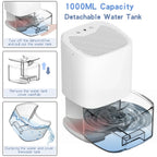 Portable Dehumidifier | 1000ml Compact Design with Air Filter & Night Light | Ideal for Cleaner, Drier Air
