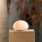 Snowflake table lamp