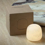 Snowflake table lamp