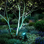 Solar Waterproof IP65 Outdoor LED Spot Light for Landscape and Garden Lighting
