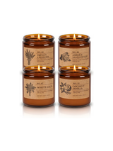 Hearth Soy Candle Set of 4 Amber Apothecary Jars — studio white
