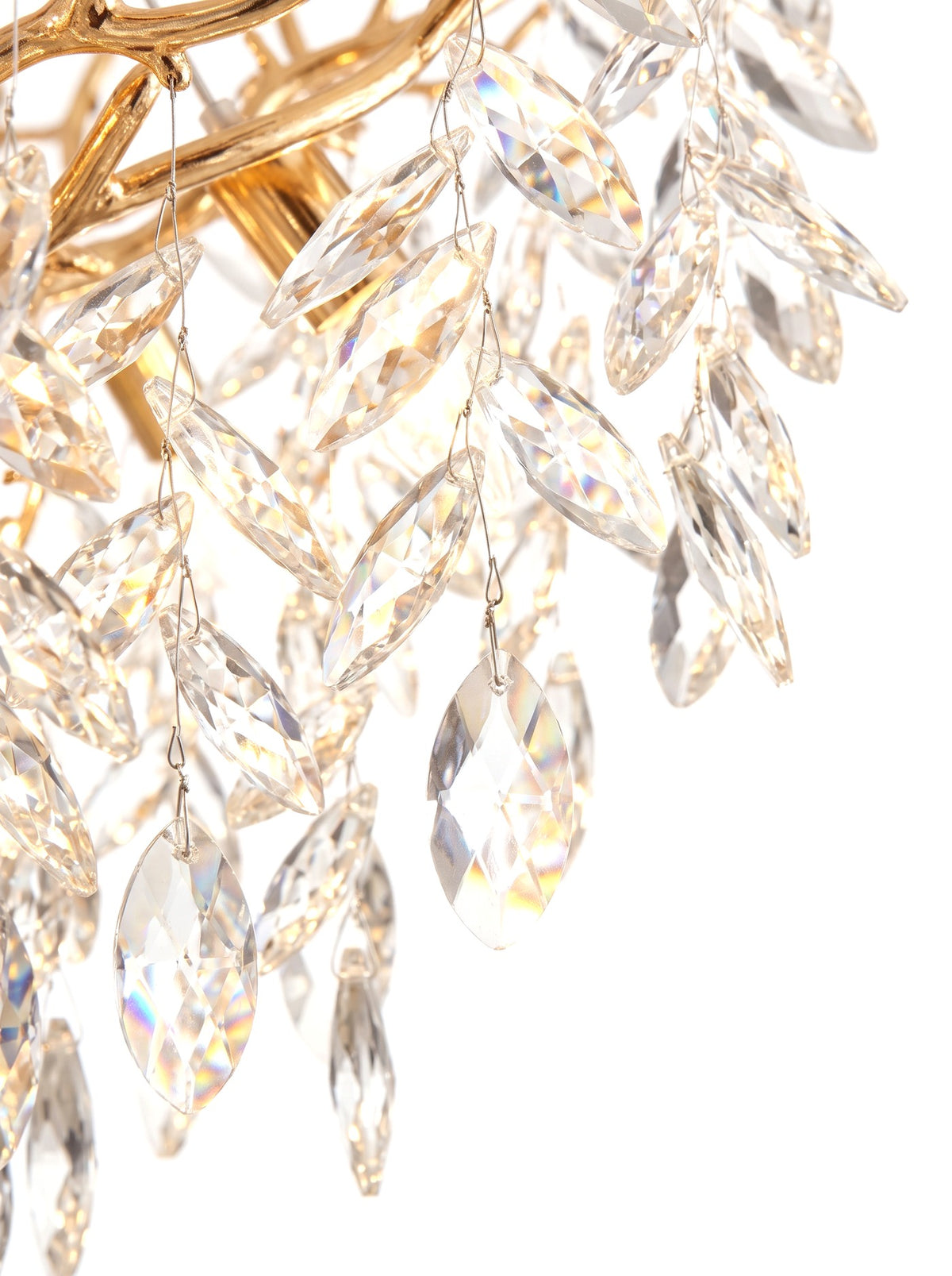 Close-up of the faceted crystal leaf droplets