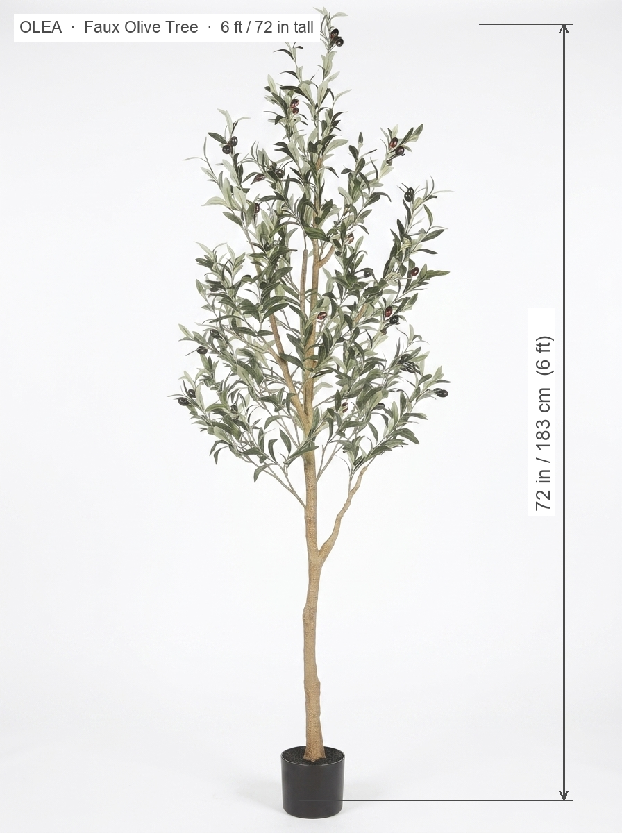 Olea faux olive tree dimensions 6 ft 72 in tall