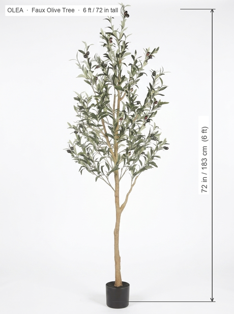 Olea faux olive tree dimensions 6 ft 72 in tall