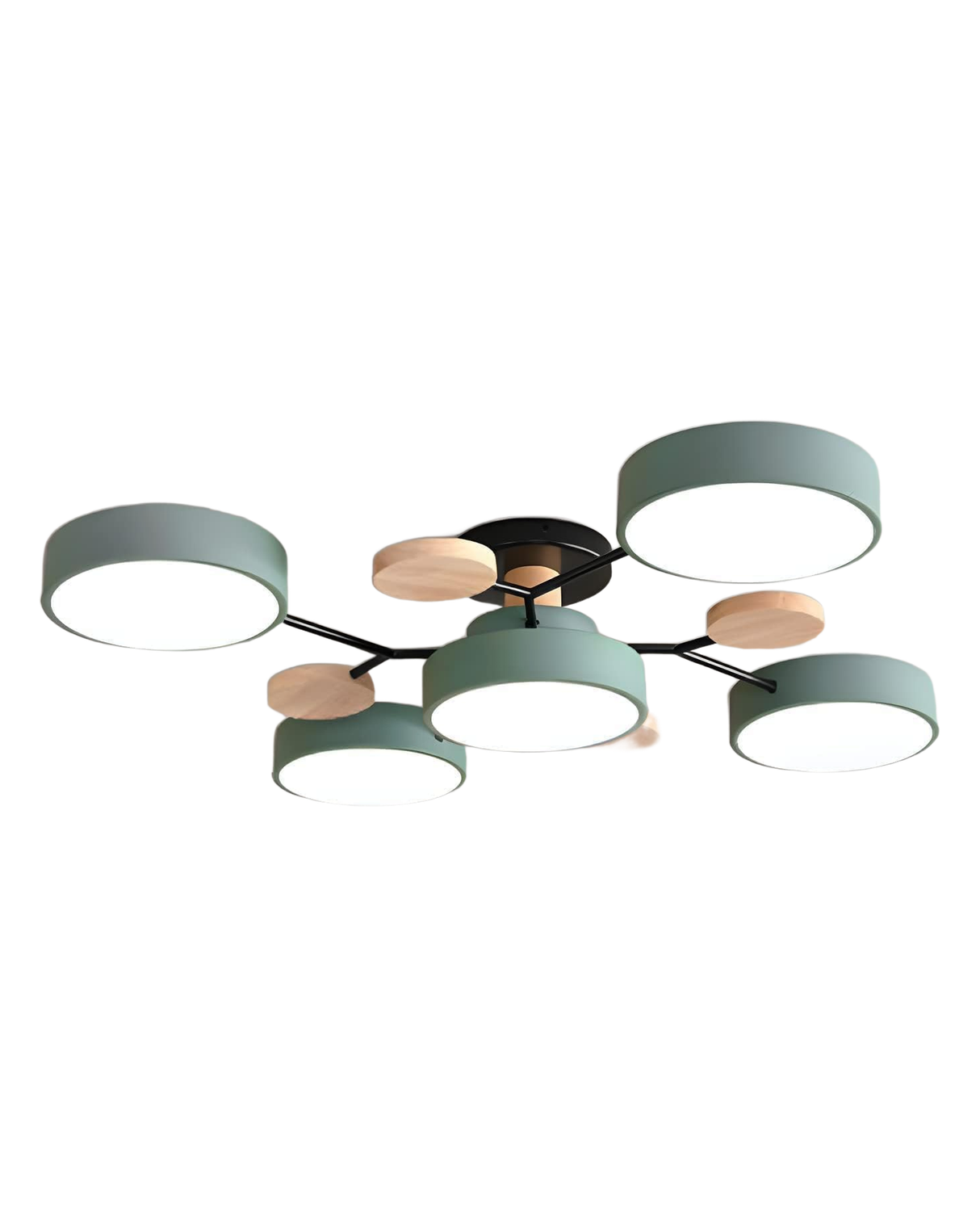 Circa multi-arm ceiling light, sage green finish, studio on white