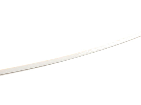 Filo strip lit with smooth even warm glow, on white