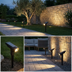 Solar spotlights lighting a paver walkway and olive tree at twilight