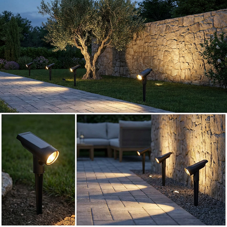 Solar spotlights lighting a paver walkway and olive tree at twilight