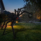 5ft black spider on a lawn beside a web