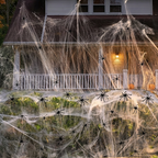 Cobweb blanketing a front porch