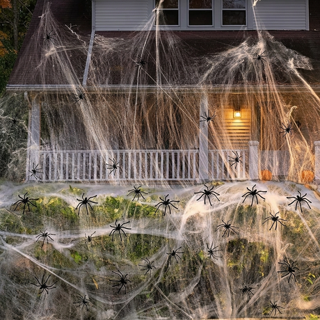 Cobweb blanketing a front porch