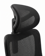 Aria headrest and upper mesh back, close-up