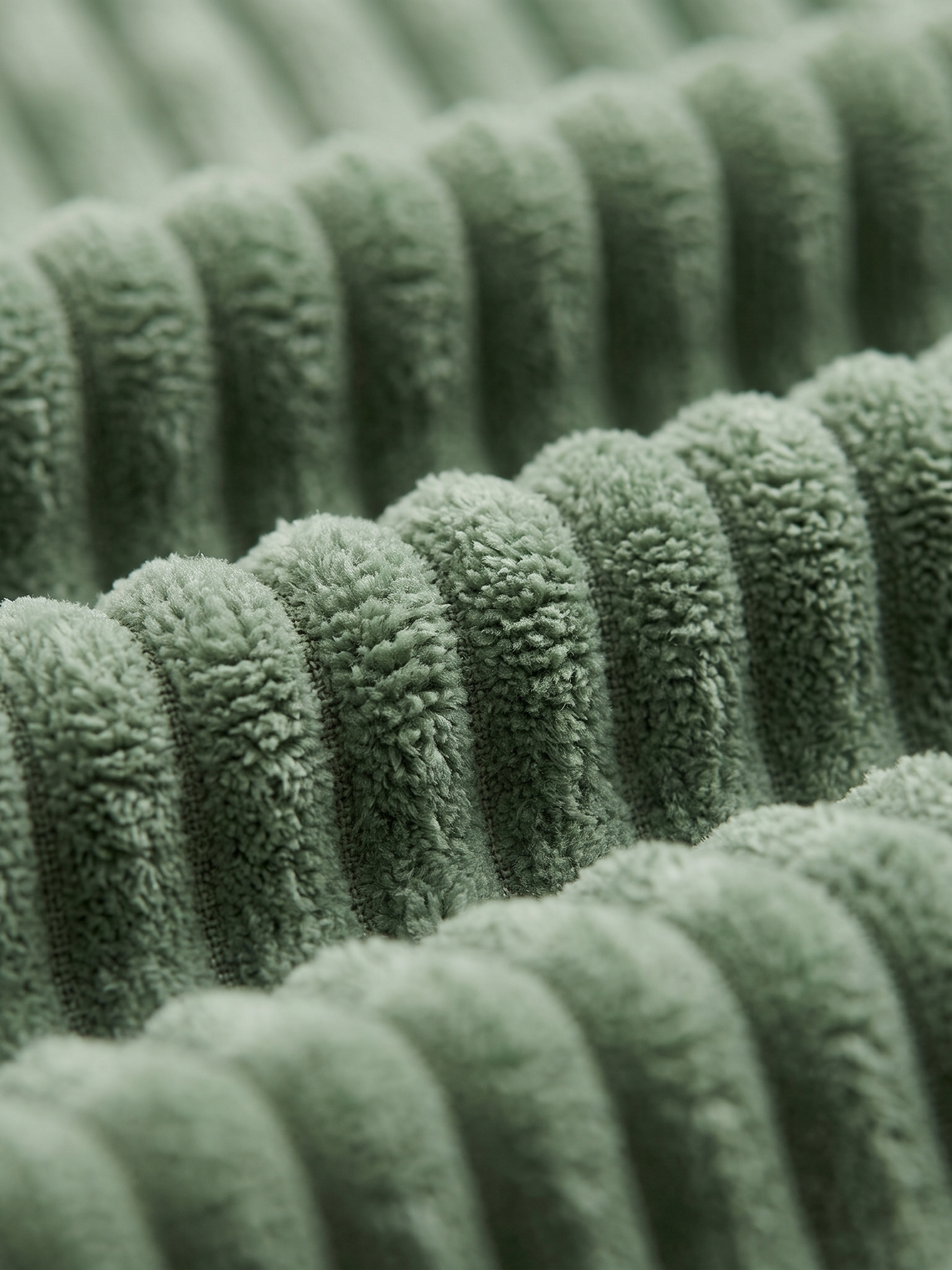 Sorrel corduroy rib texture, close-up on white