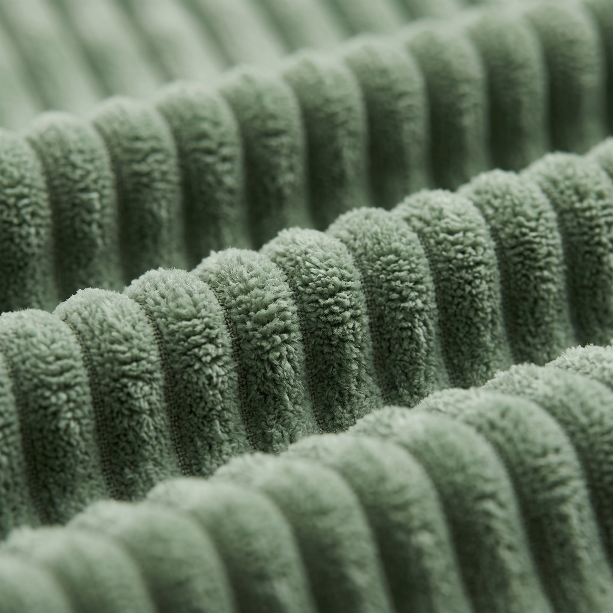 Sorrel corduroy rib texture, close-up on white