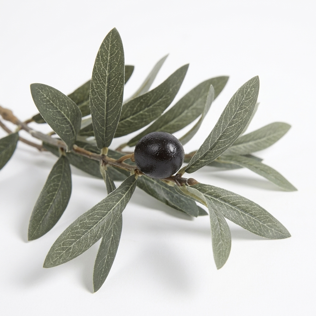 Olive leaves and fruit macro detail