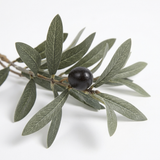 Olive leaves and fruit macro detail