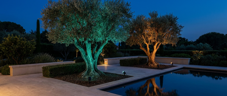 Delia spotlights uplighting olive trees on a travertine terrace at dusk — lifestyle