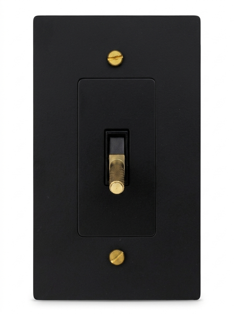 Ellis night black with brass toggle switch 1-gang