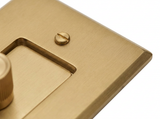 Rhone brass plate corner and slotted screw close-up
