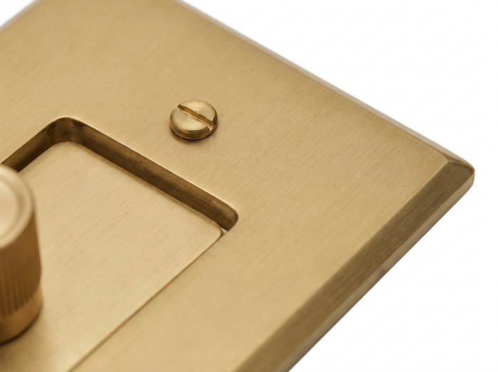 Rhone brass plate corner and slotted screw close-up