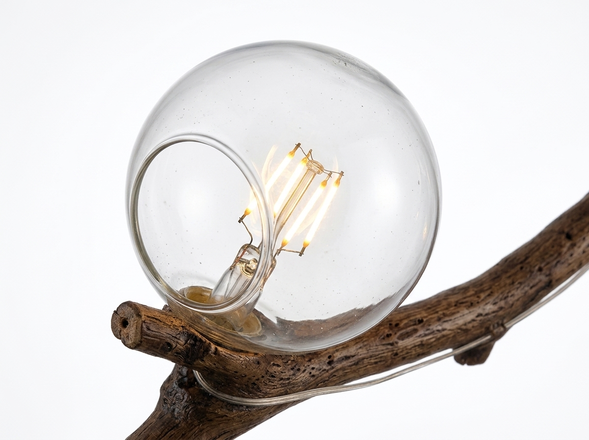 Thorne clear glass globe bulb close-up